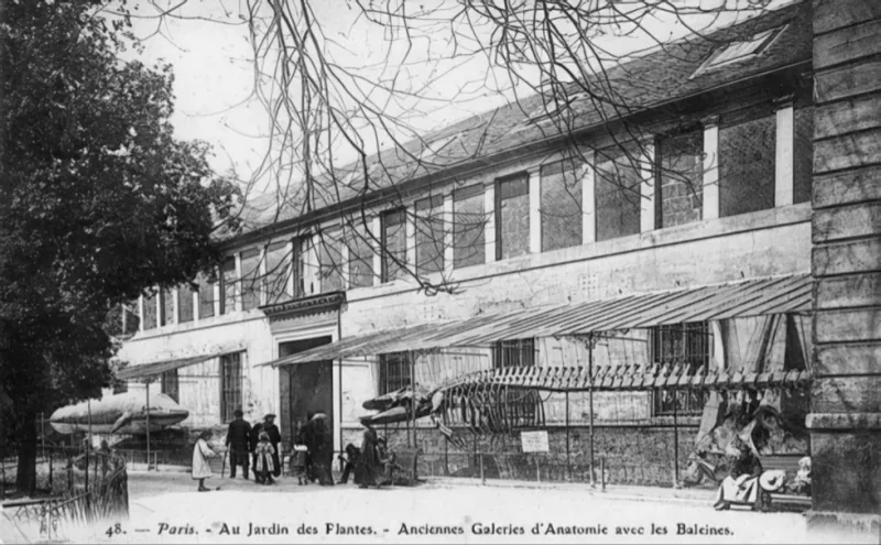 Jardin des Plantes
