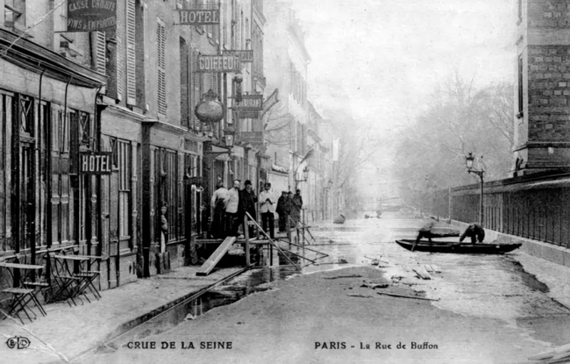 Rue Buffon