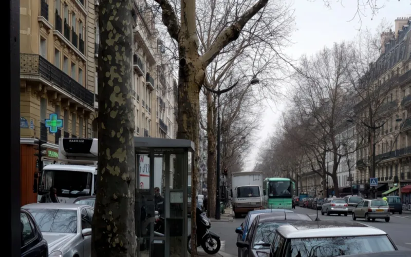 Avenue Kléber