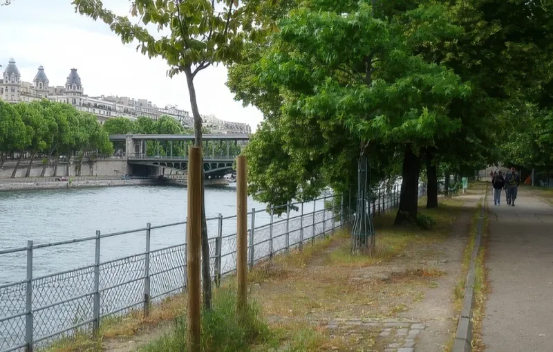 Ile des Cygnes