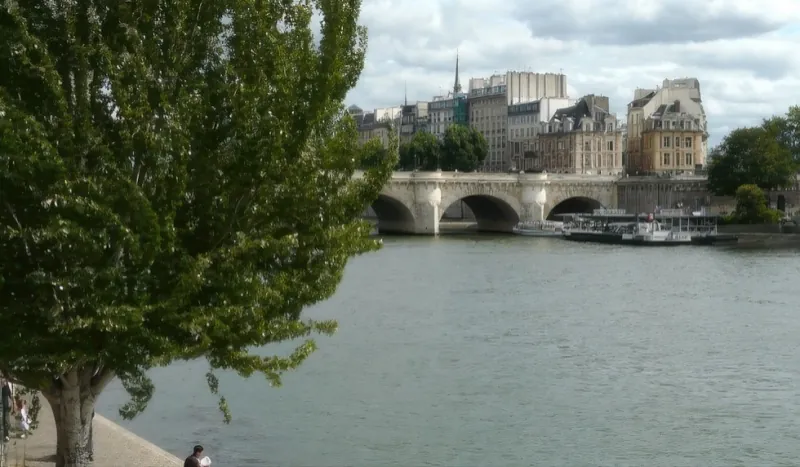 Le pont Neuf