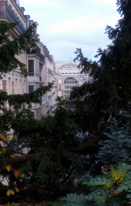 Rue André del Sarte