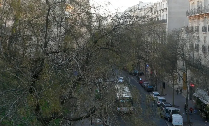 Rue des Pyrénées