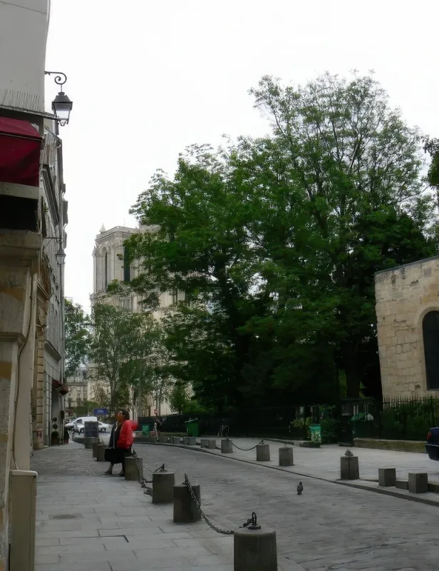 Rue Saint-Julien le Pauvre