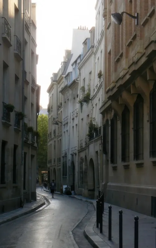 Rue Suger