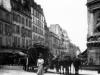 Fontaine Cuvier