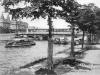 Ile des Cygnes