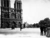 Cathédrale Notre Dame de Paris