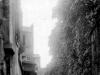Rue Berton