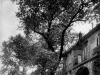 Rue de Poissy