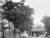 Avenue du Docteur Arnold Netter